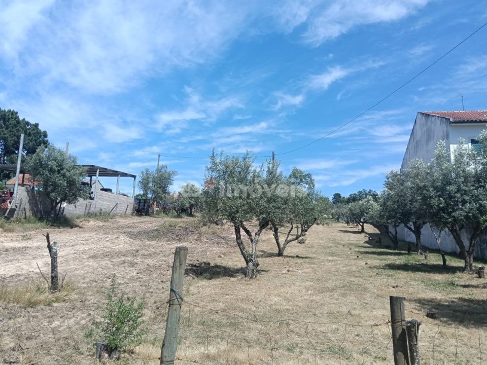 Helårsgrund i Carregueira, Santarem - foto 5