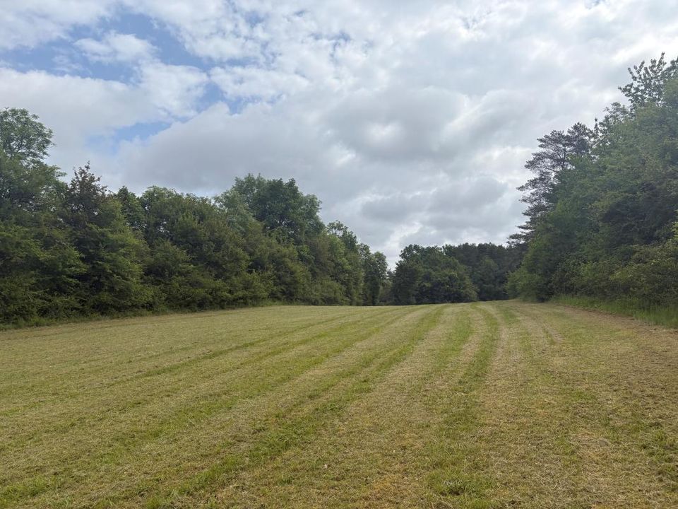 Terra a Saint-Crepin-D'Auberoche, Dordogne - foto 1