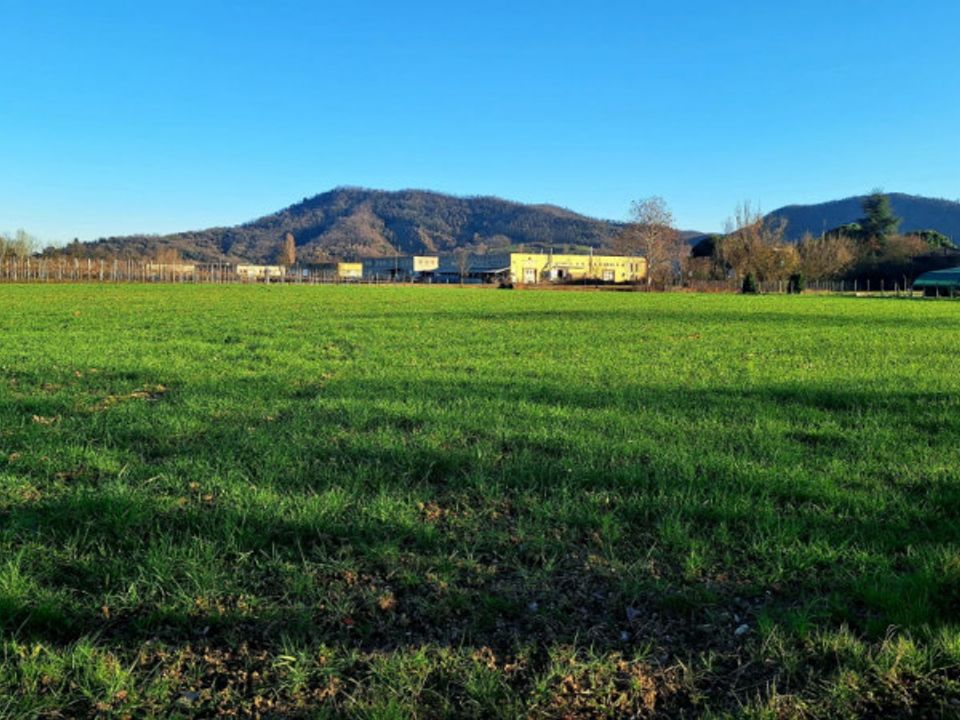 Helårsgrund i Torreglia, Padua - foto 2