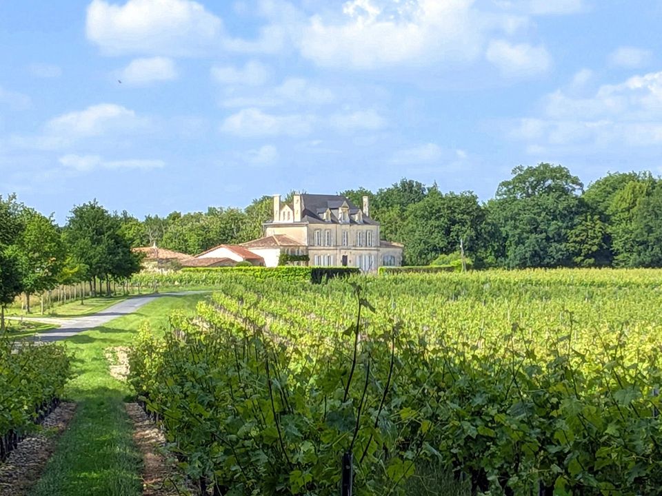 Villa i Jonzac, Charente-Maritime - foto 1