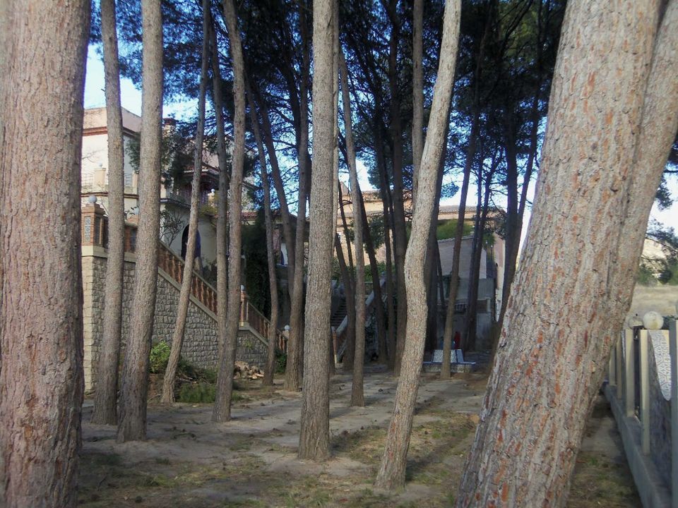 Villa i Bunol, Valencia - foto 3