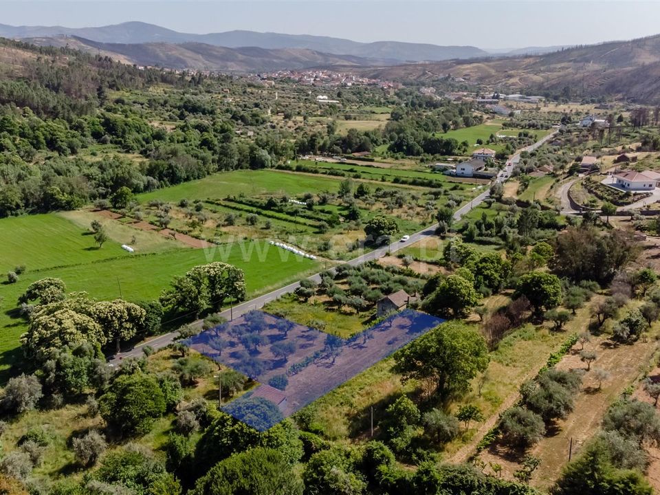 Helårsgrund i Covilha, Castelo Branco - foto 1