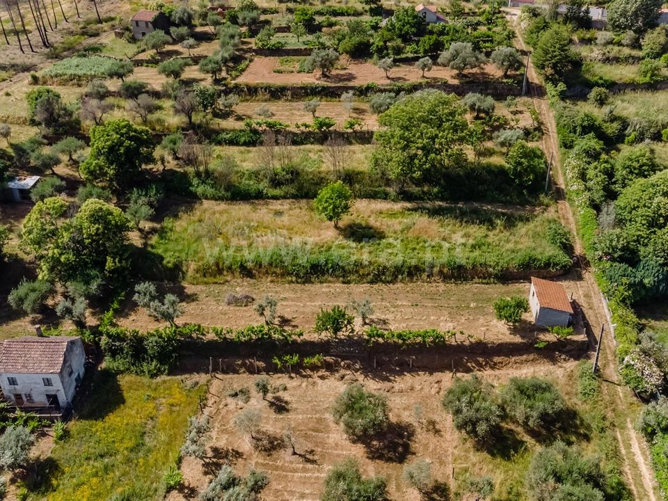 Helårsgrund i Covilha, Castelo Branco - foto 4