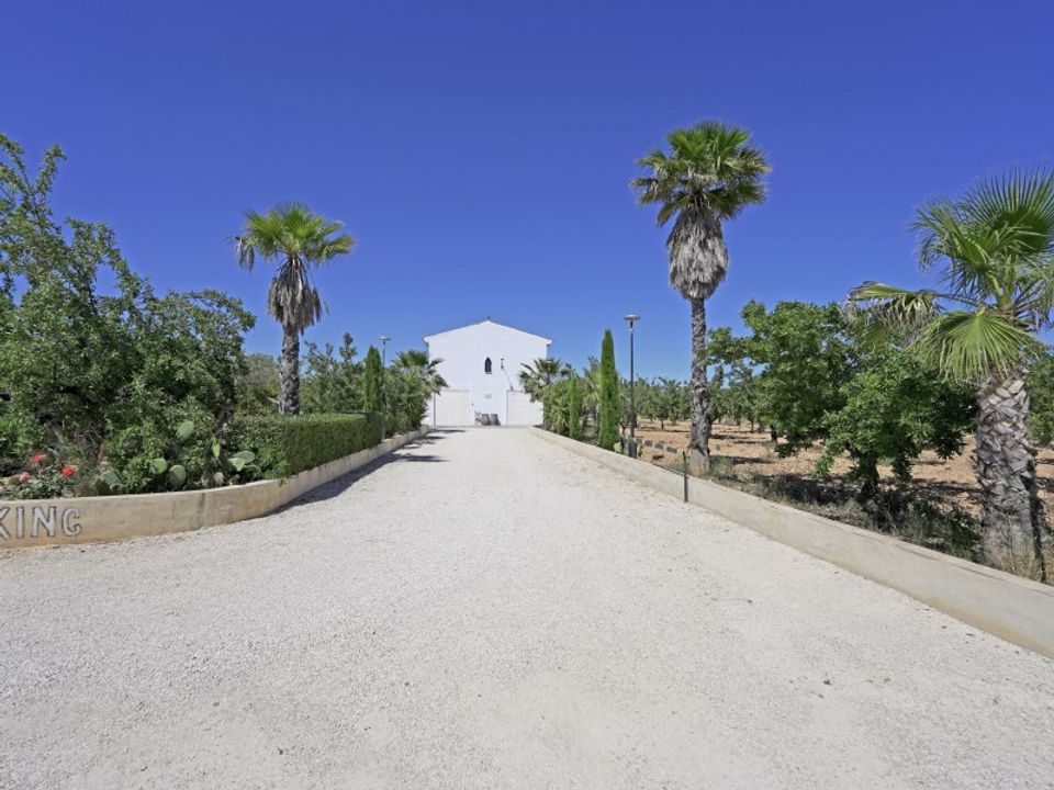 Villa i Hondon De Las Nieves, Alicante - foto 3