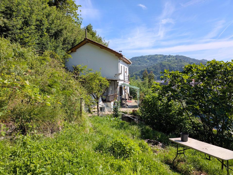 Villa in Mieres, Asturias - foto 4