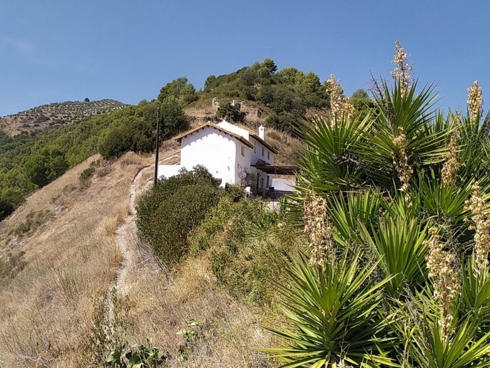 Cortijo i Montefrio, Granada - bilde 3