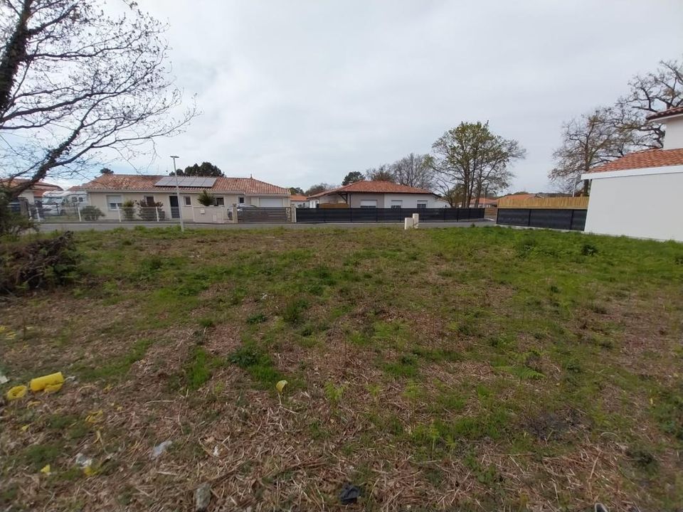 Tomt i Labouheyre, Landes - bilde 1