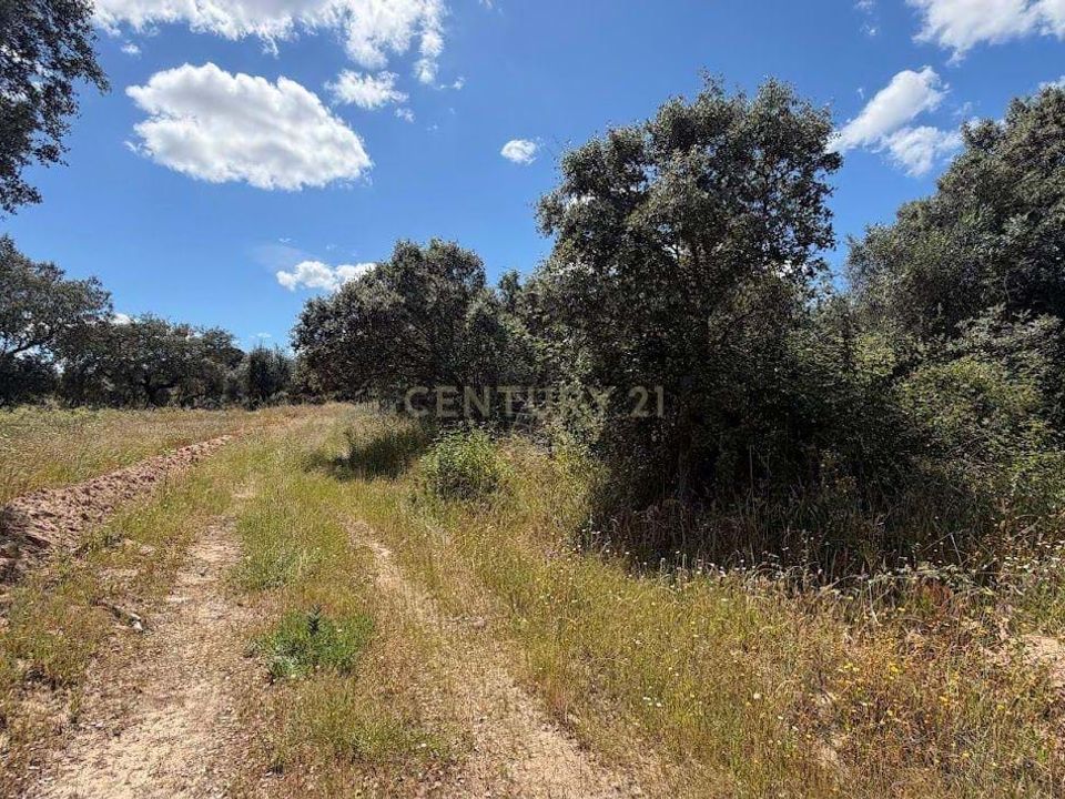 Villa in Crato, Portalegre - foto 5