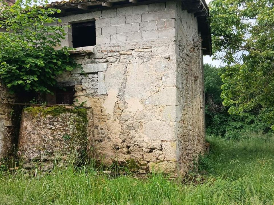 Landejendom i Saint-Vivien-de-Monsegur, Gironde - foto 3