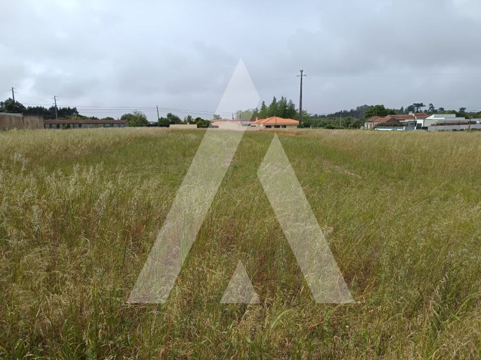 Helårsgrund i Ilhavo, Aveiro - foto 3