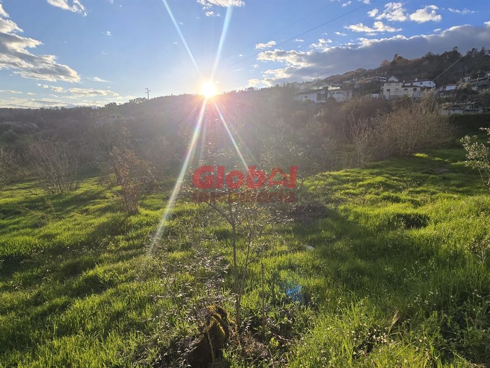 Helårsgrund i Viseu, Viseu - foto 2