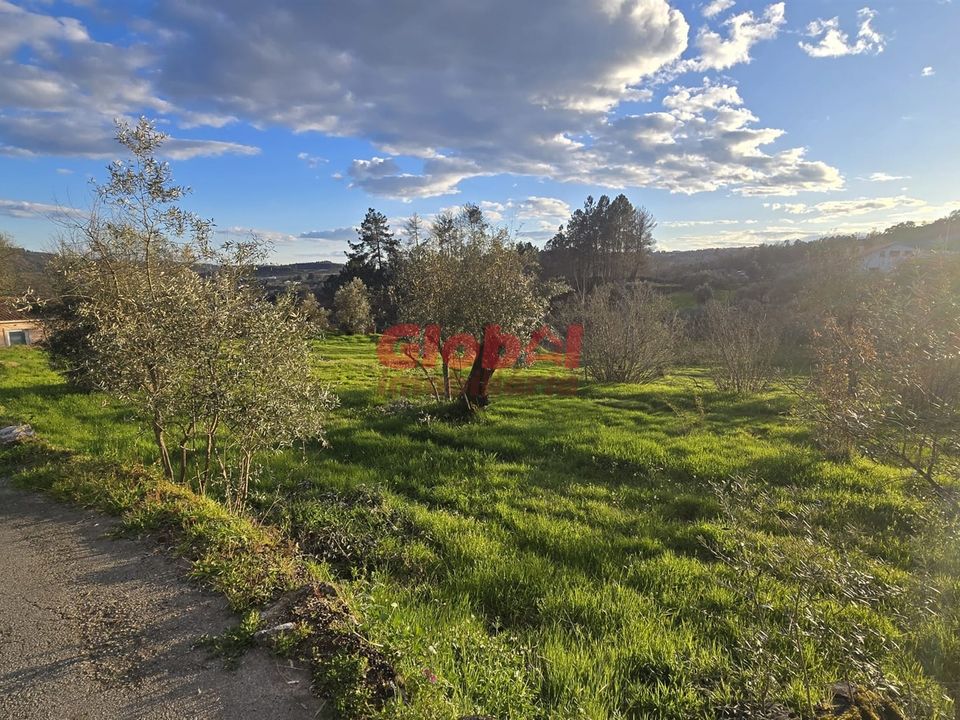 Helårsgrund i Viseu, Viseu - foto 3