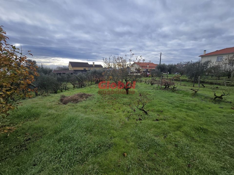 Helårsgrund i Viseu, Viseu - foto 1