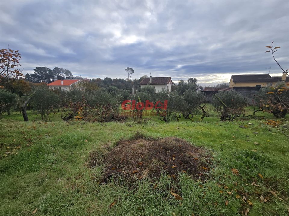 Helårsgrund i Viseu, Viseu - foto 2