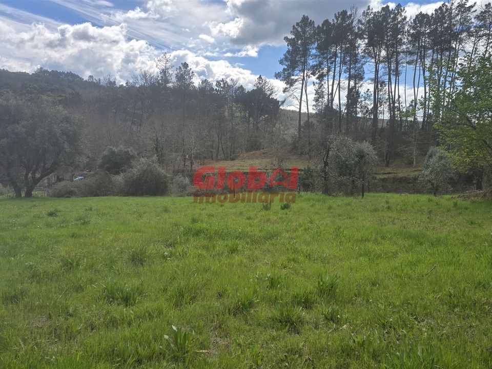 Helårsgrund i Viseu, Viseu - foto 1