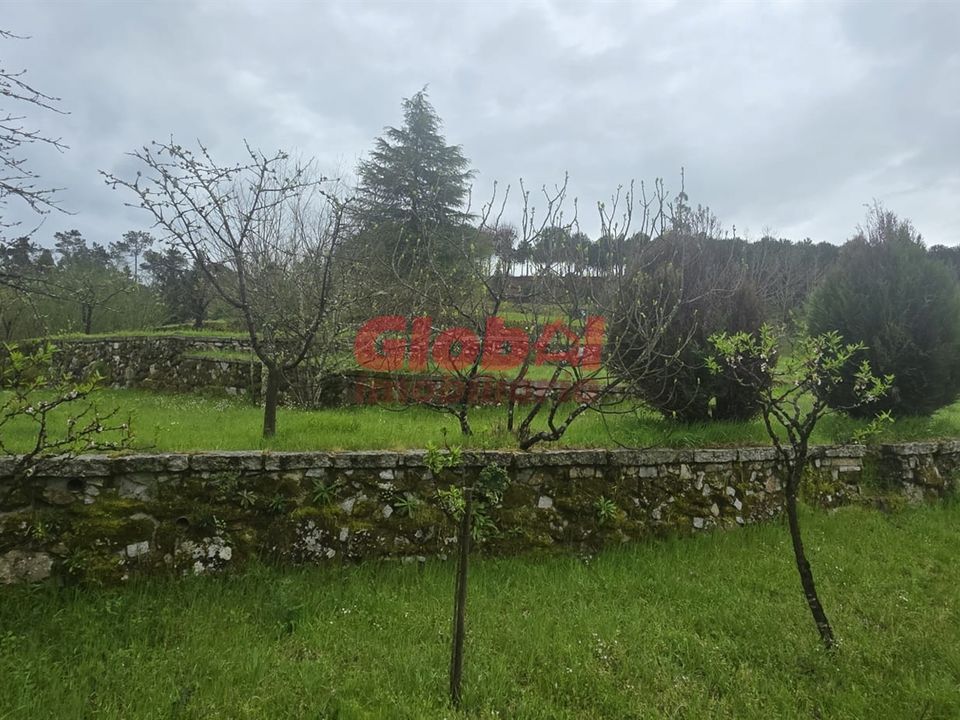 Farm i Mangualde, Viseu - foto 1