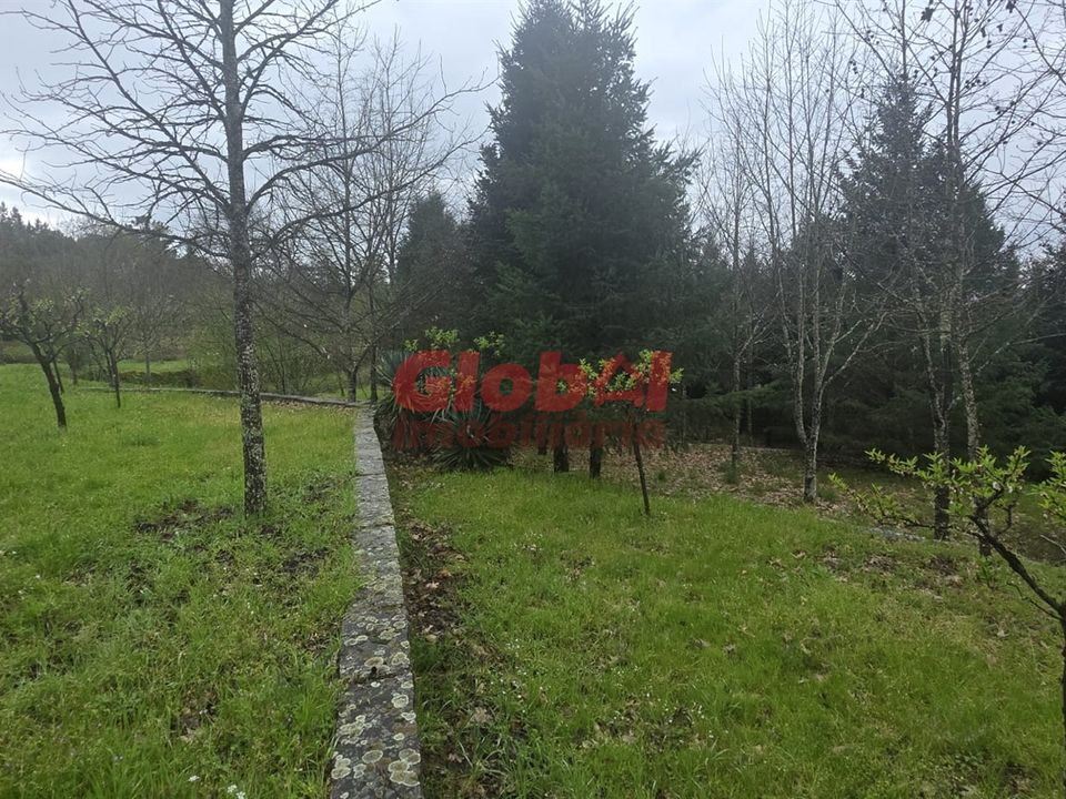 Farm i Mangualde, Viseu - foto 3