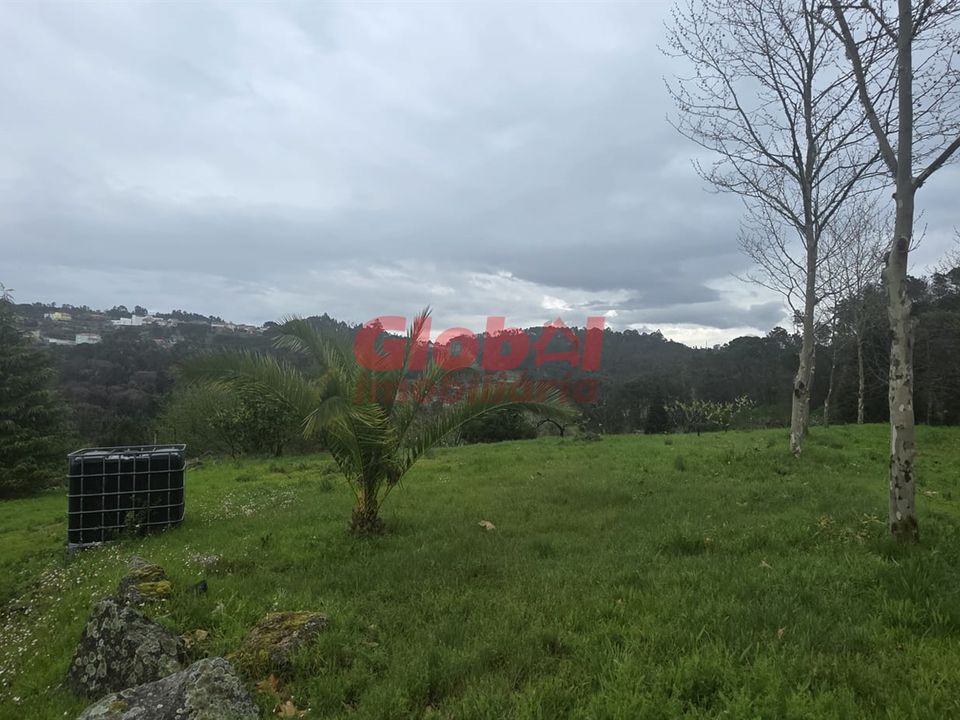 Farm i Mangualde, Viseu - foto 4