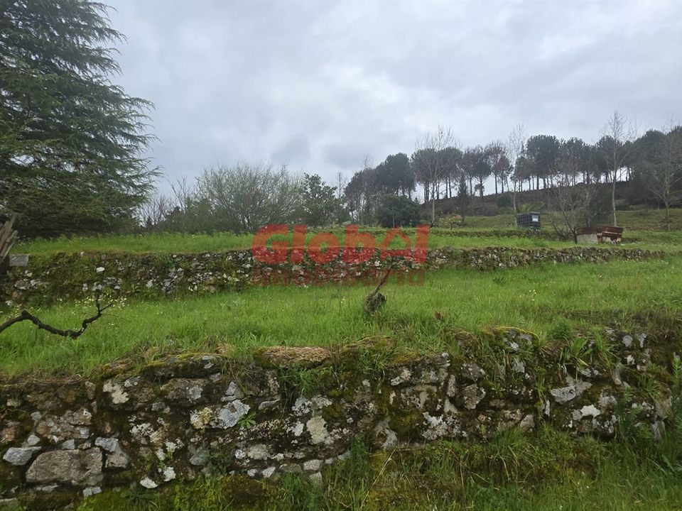 Farm i Mangualde, Viseu - foto 5