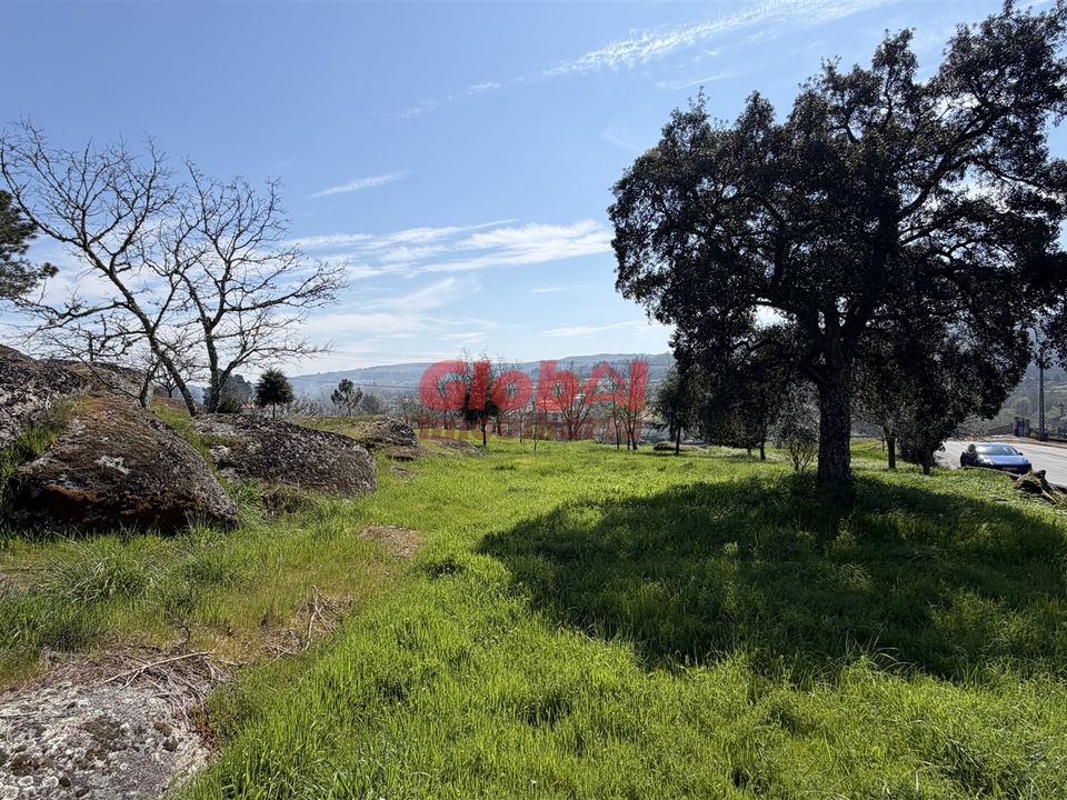 Terra em Mangualde, Viseu - foto 3