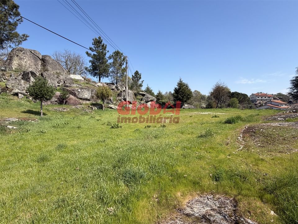 Terra em Mangualde, Viseu - foto 4