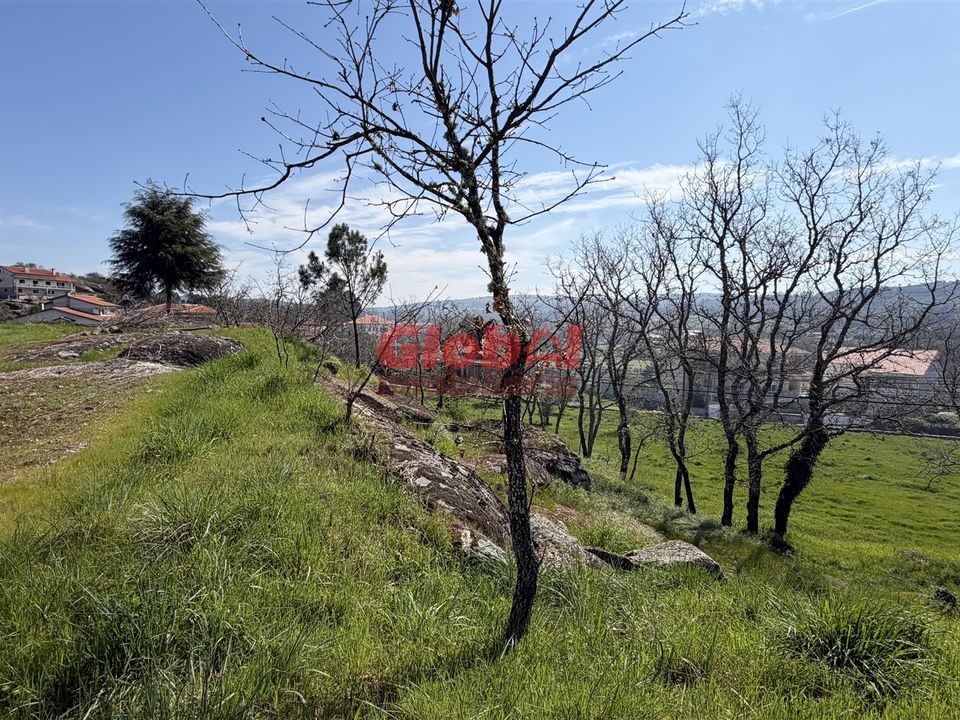 Terra em Mangualde, Viseu - foto 5