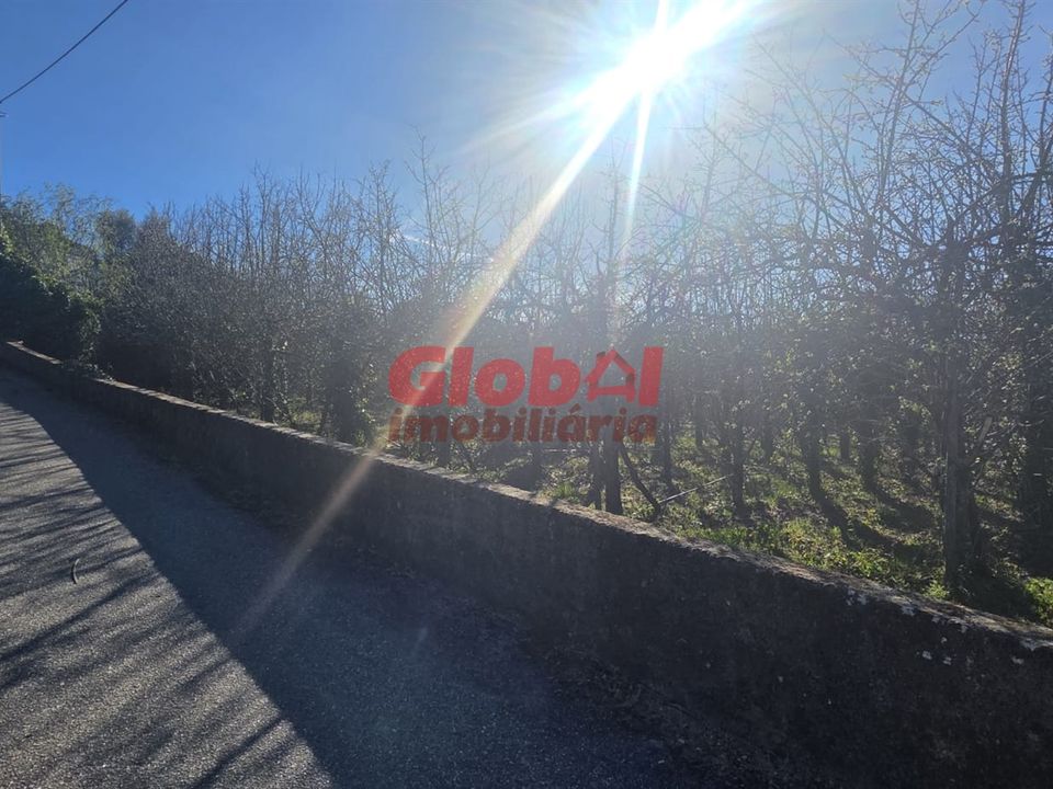 Helårsgrund i Penalva do Castelo, Viseu - foto 3