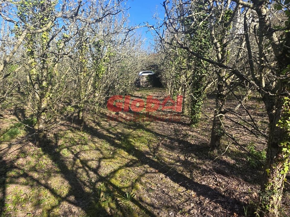 Helårsgrund i Penalva do Castelo, Viseu - foto 4