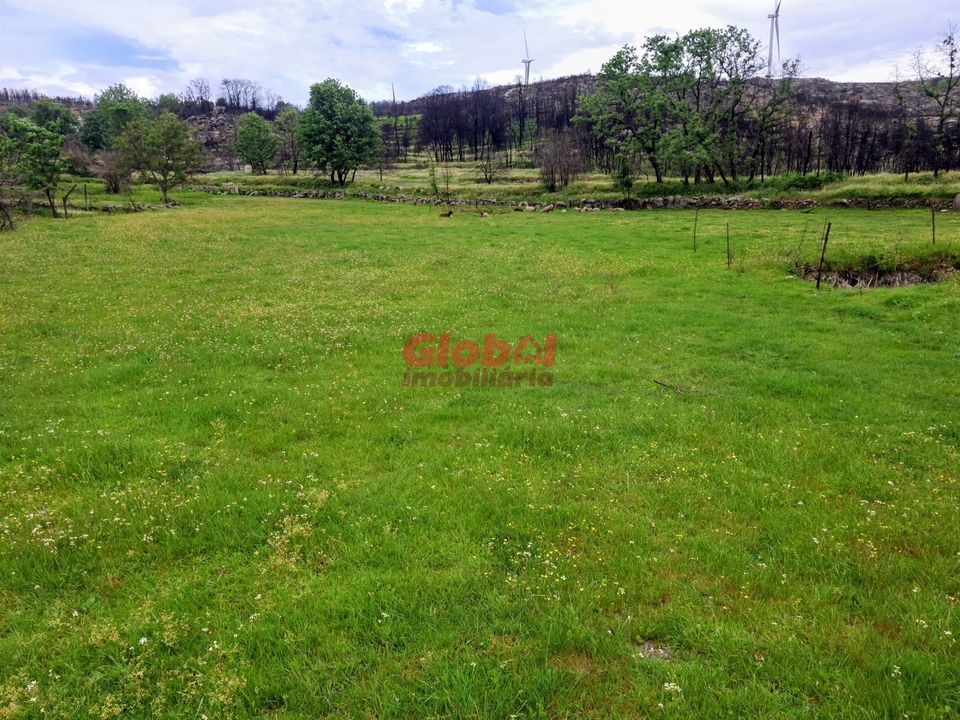 Helårsgrund i Sernancelhe, Viseu - foto 3