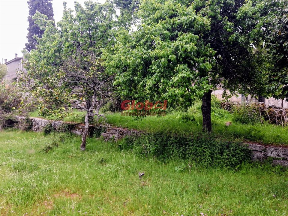 Helårsgrund i Sernancelhe, Viseu - foto 3