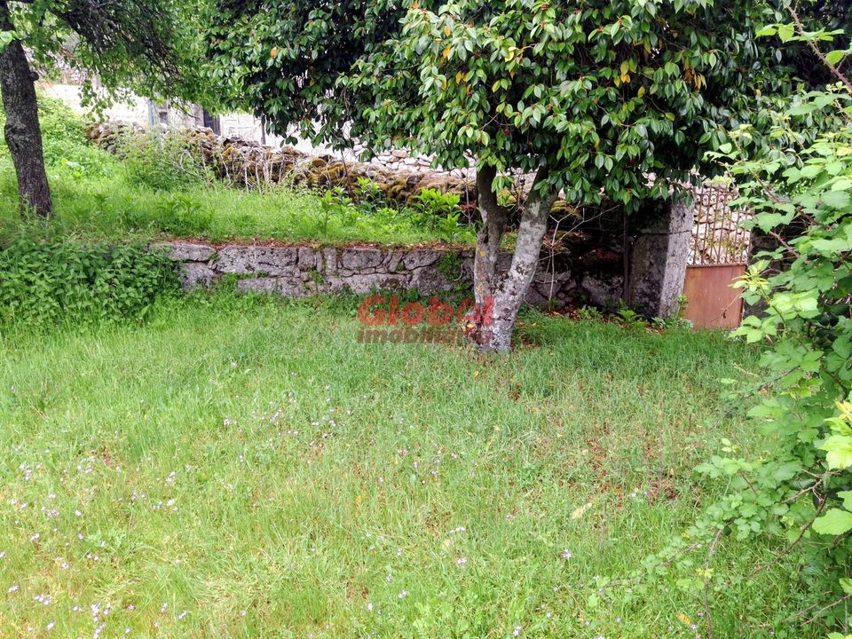 Helårsgrund i Sernancelhe, Viseu - foto 4