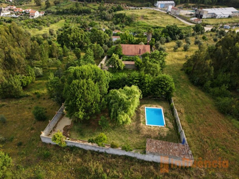 Farm i Sardoal, Santarem - foto 4