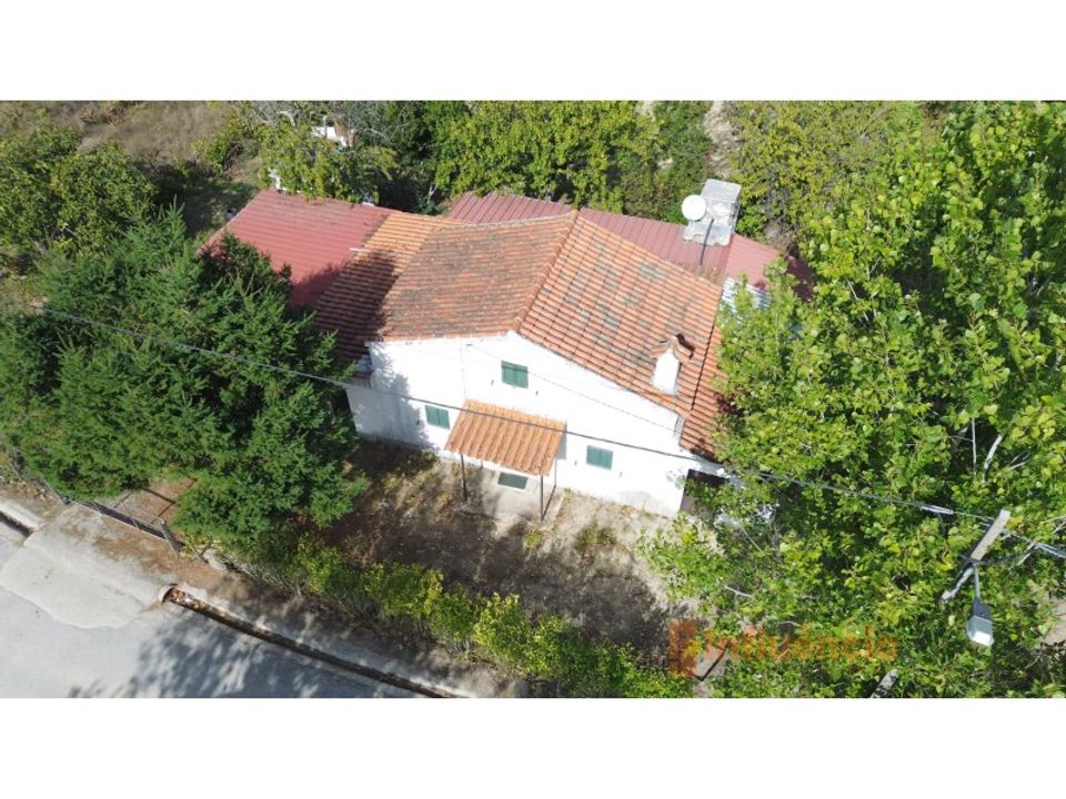 Farm i Ferro, Castelo Branco - foto 1