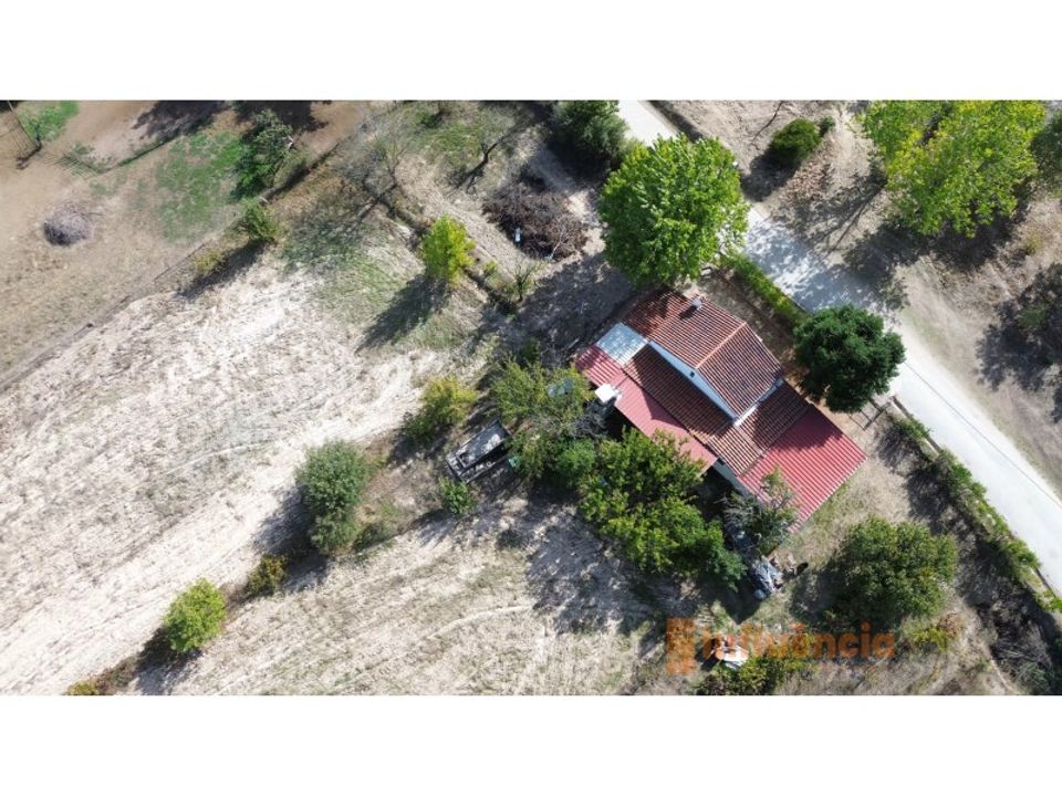 Farm i Ferro, Castelo Branco - foto 2