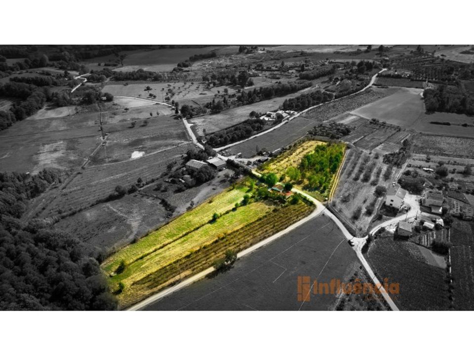 Farm i Ferro, Castelo Branco - foto 3