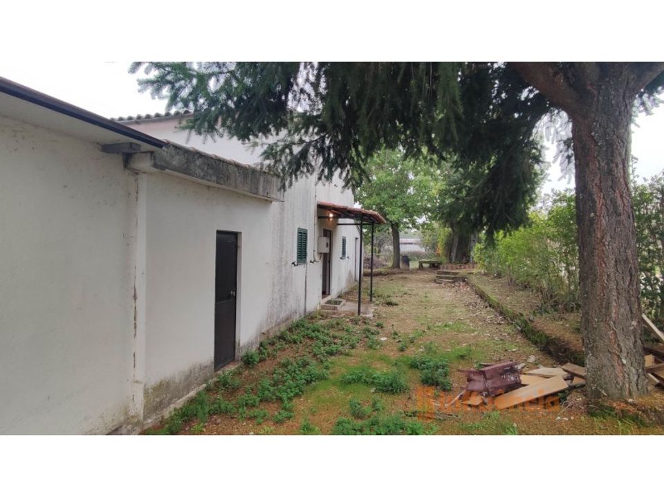 Farm i Ferro, Castelo Branco - foto 5