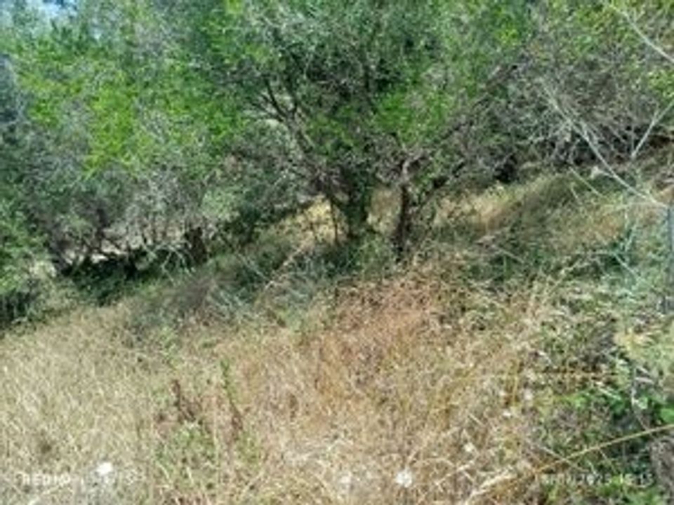 Helårsgrund i Sintra, Lisbon - foto 1