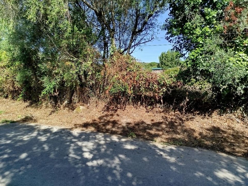 Helårsgrund i Sintra, Lisbon - foto 3