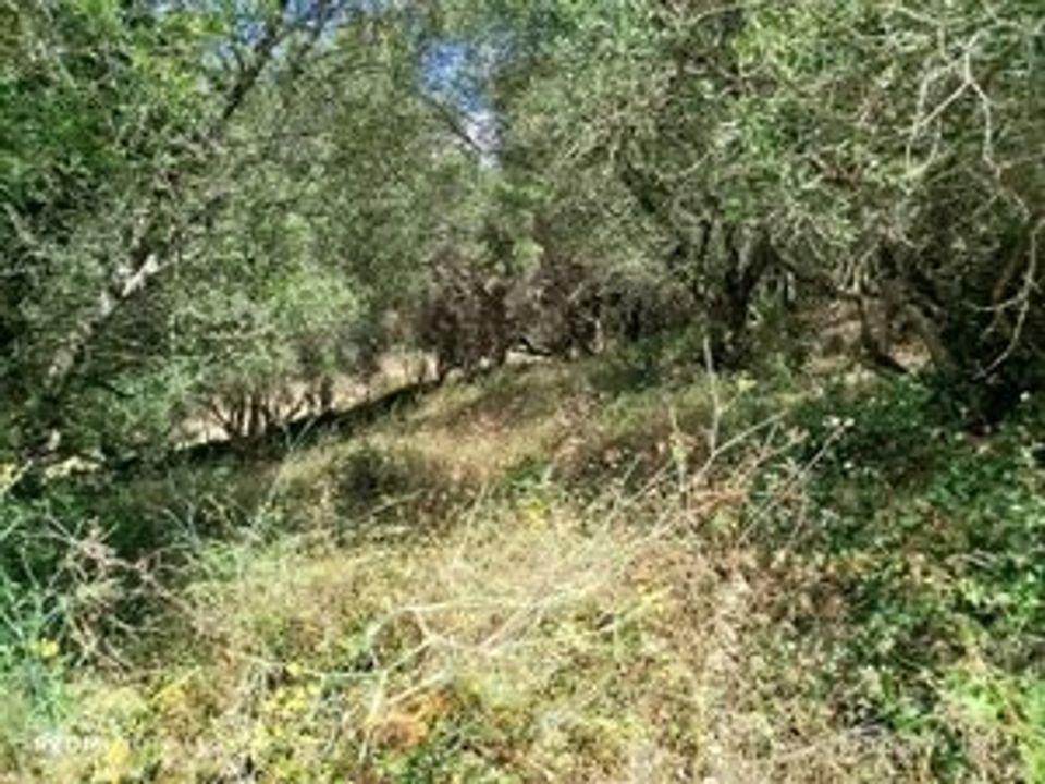 Helårsgrund i Sintra, Lisbon - foto 4