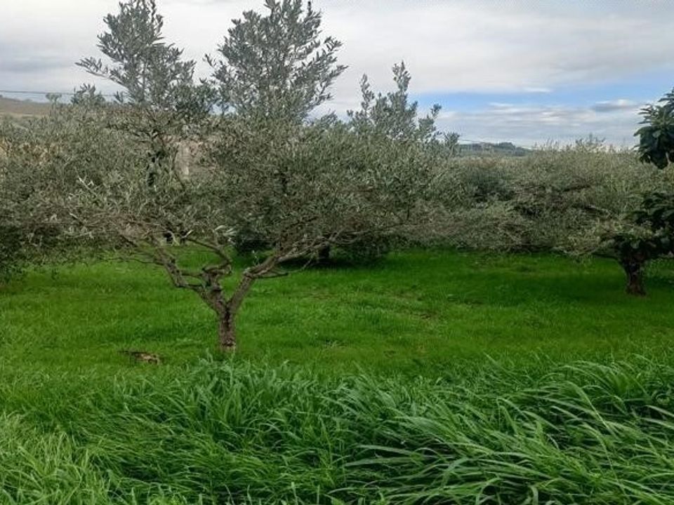 Propriedade comercial em San Benedetto Del Tronto, Ascoli Piceno - foto 1