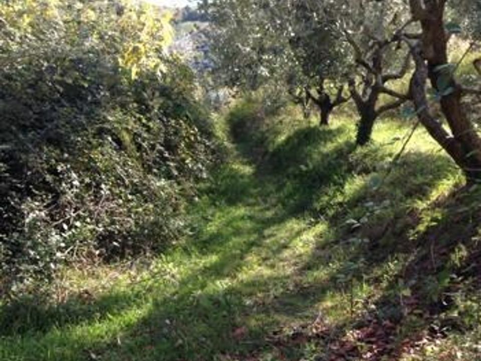 Villa i San Benedetto Del Tronto, Ascoli Piceno - foto 4