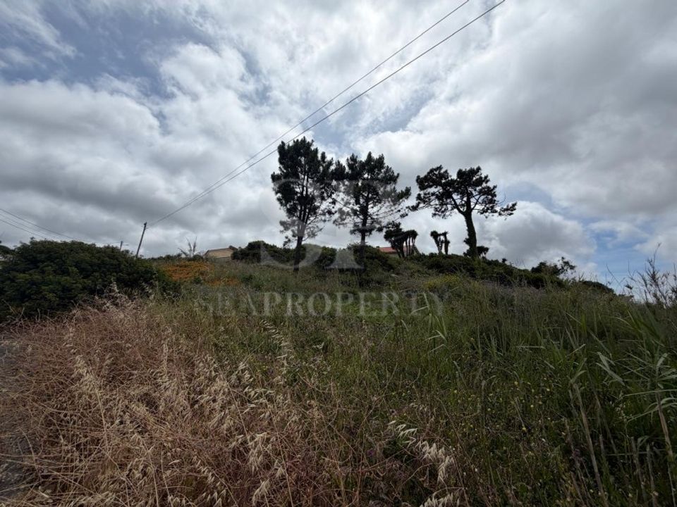 Helårsgrund i Serra de El Rei, Leiria - foto 1