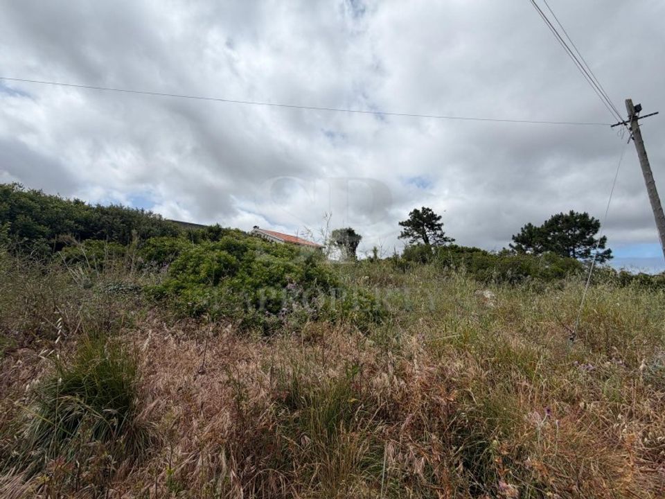 Helårsgrund i Serra de El Rei, Leiria - foto 3