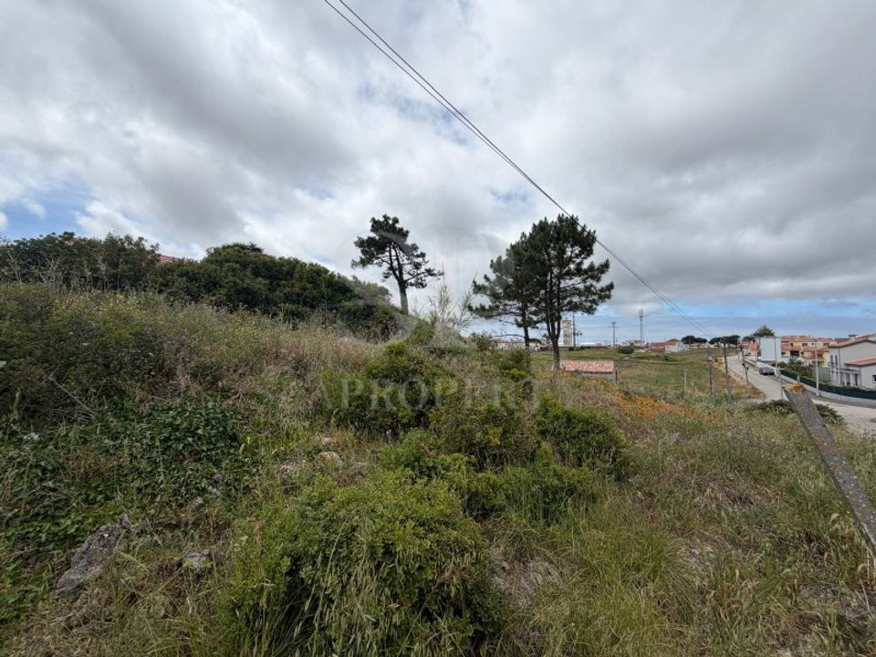 Helårsgrund i Serra de El Rei, Leiria - foto 5