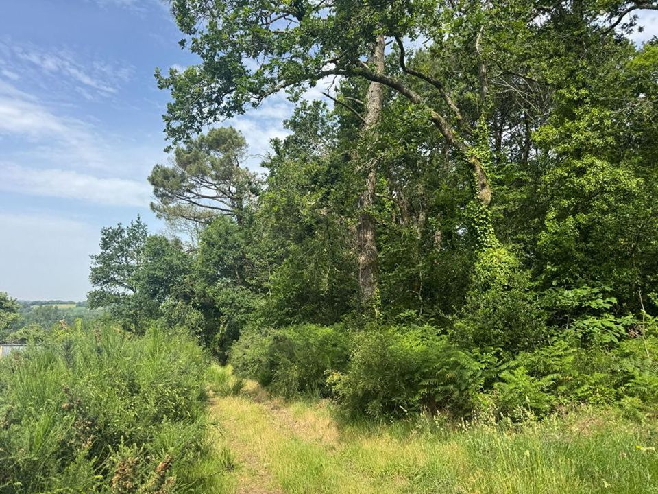 Helårsgrund i Landévant, Morbihan - foto 2