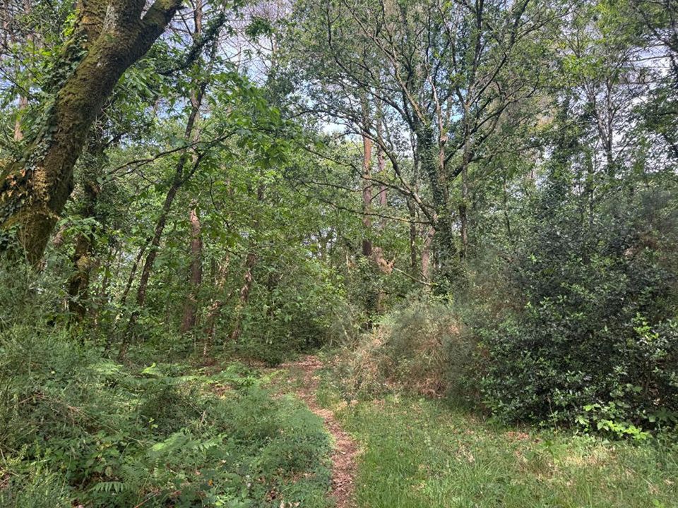 Helårsgrund i Landévant, Morbihan - foto 3