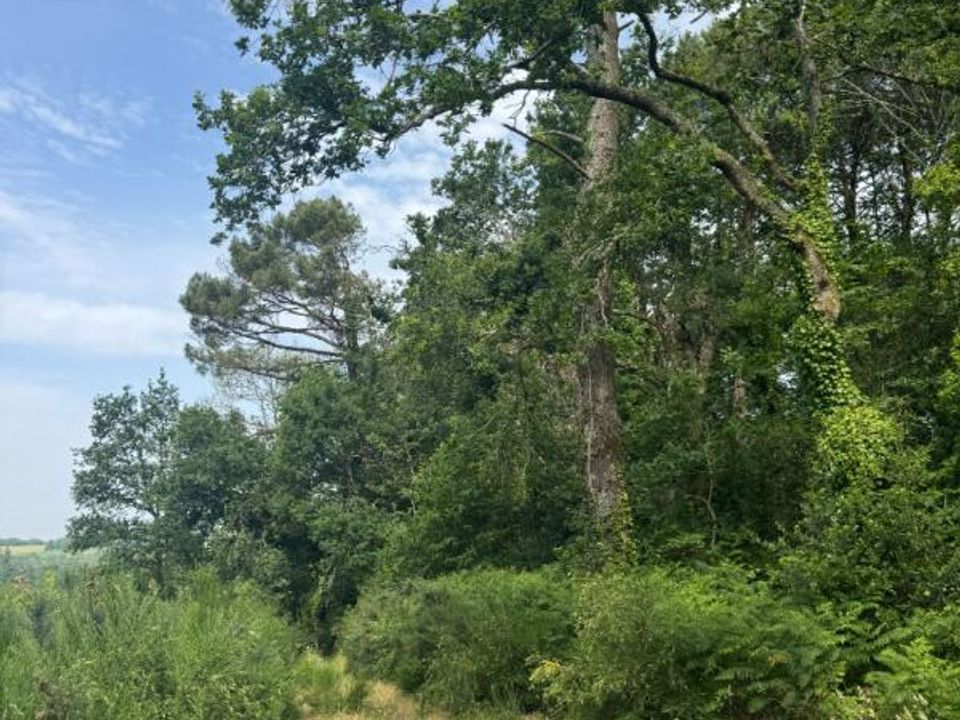Helårsgrund i Landévant, Morbihan - foto 4