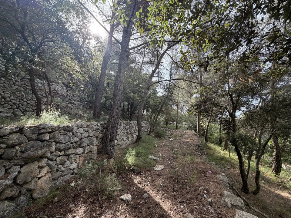 Terreno en Falicon, Alpes-Maritimes - foto 2
