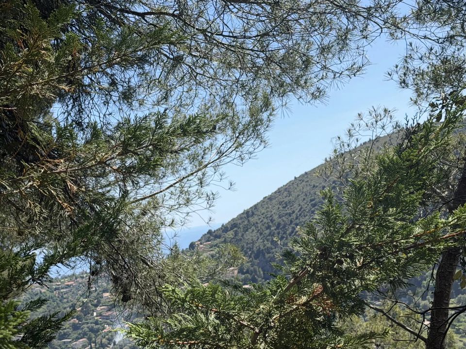 Terreno en Falicon, Alpes-Maritimes - foto 3