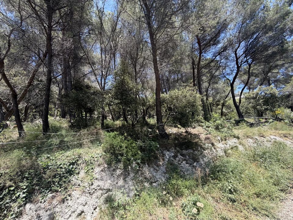 Terreno en Falicon, Alpes-Maritimes - foto 4